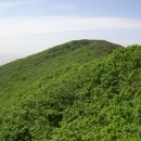 천현약수터 | 수도지맥(1구간) : 대덕산-삼도봉-국사봉-봉산 구간