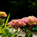 순천만국가정원(서문) 이미지