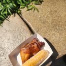 메가코인 이미지