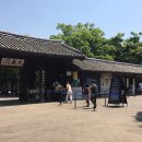 용인 한국민속촌 (2024. 05 .02) 이미지