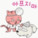 박동물병원 이미지