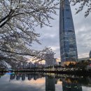 더캡슐반포