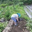 해밀농장 이미지