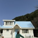 자연숨식당 | [단양 감성 독채 숙소] 자연 속 힐링, 단양 숨하우스 솔직 후기