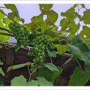 기억 여행- 즐거운 이미지