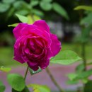 중리공원 이미지