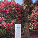 제주 올레길 4코스 | 제주 올레길 4코스 러닝 후기 w/ 어메이즈핏 빕6