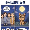 보름달약국 이미지