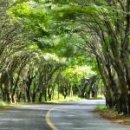 안단테펜션 이미지