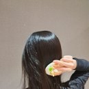 쓰다미 이미지