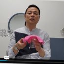 낭창한 강아지 이미지