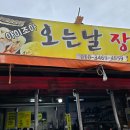 오는날 장날 티스토리