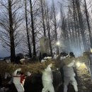 교월동행정복지센터 이미지