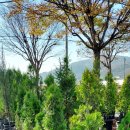 목천농장 이미지