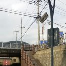 마평 일간경기