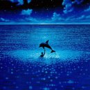 그랑블루 이미지