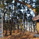 선덕여왕릉 화장실 이미지