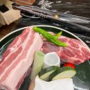 마장동김씨 이미지