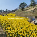 당골딸기 영농조합 | 구례 지리산 치즈랜드 주말 방문 비추천 후기