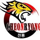 천룡합기도 이미지