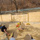 성주로50 캠프앤펜션 | 벚꽃 성주캠핑장 추천🌸 깨끗하고 친절한 성주로50캠프앤펜션