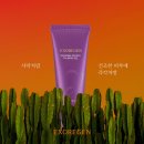 뷰티벨