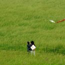 고삼목장 이미지