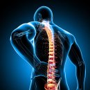 허리편한병원 이미지