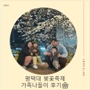 평택대학교 | 평택대 벚꽃놀이 아기랑 다녀온 후기 🌸 2026 평택대학교 벚꽃축제 일정 + 평택 벚꽃 명소 추천