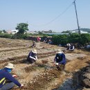 대정읍 서부보건소 삼다일보