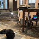 어흥스테이 이미지