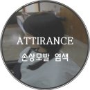 아띠랑스 헤어 이미지