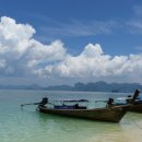 대마축산 이미지