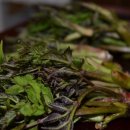 두름농장 이미지