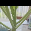 영어로만나는그림책이야기 이미지