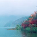 이한잔의추억 이미지