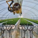 경영농장 이미지