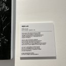 지역 예술인 작품 전시 이미지