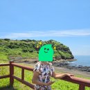 용머리약국 이미지