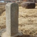 은곡리 1호 이미지