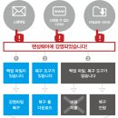 와이엔에스