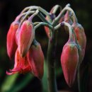 올바른남성의원 이미지