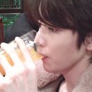 딱스 이미지