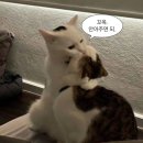 상록수식당 이미지