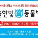 서울한빛동물병원 이미지
