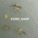 스토리샵