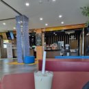 쁠레브