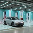 윌링스플러스 이미지