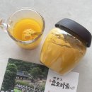 강황의 효능, 백준호 효소마을 발효 강황가루 먹는 방법 후기