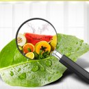 중앙간호학원 이미지